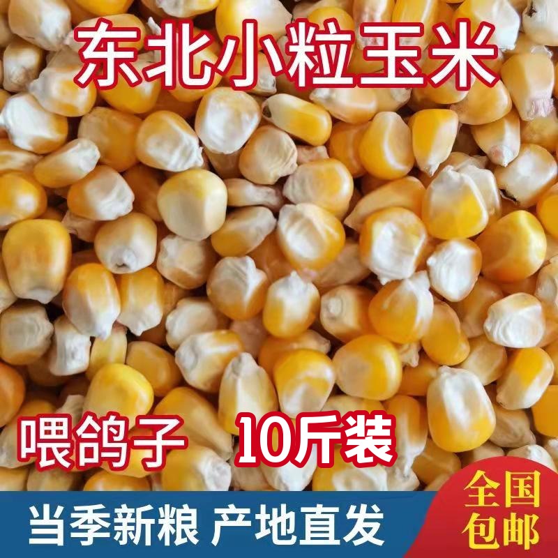 10斤东北玉米粒干玉米籽鸡鸭鹅鸟饲料鸽粮玉米小粒喂鸽子粮食包邮