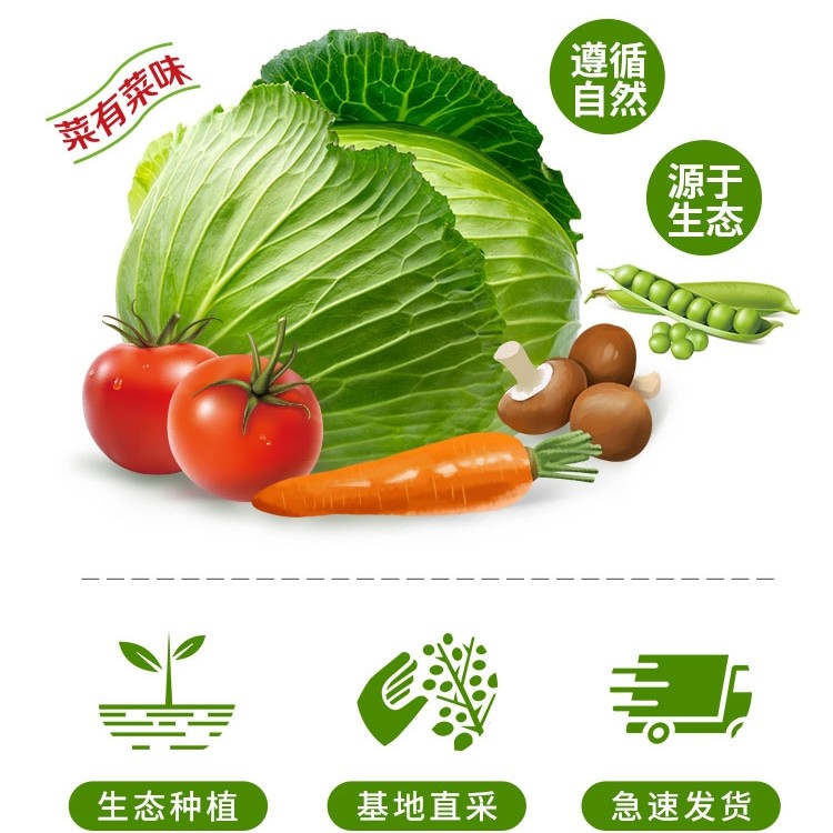 大连溯源蔬菜5斤家庭装新鲜采摘 京东送货上门