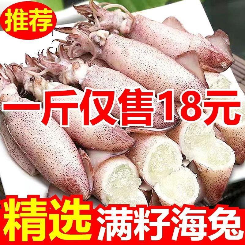 冷冻墨鱼全籽籽乌带籽乌新鲜海兔笔管鱼墨鱼鱿鱼八爪鱼海鲜批发