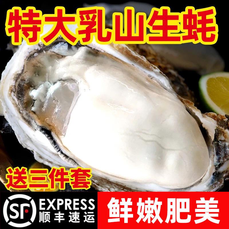 顺丰包邮乳山生蚝鲜活海蛎子海捕超肥大牡蛎海鲜水产贝类海鲜批发