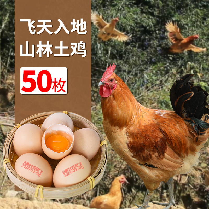 云湶谷 栖凤山牌 大别山土鸡蛋50枚现捡现发 新鲜土鸡蛋绿色食材 