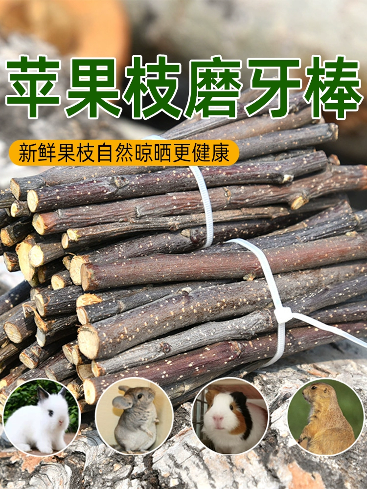 2025新鲜苹果树枝小型宠物磨牙棒自然晾晒健康使用