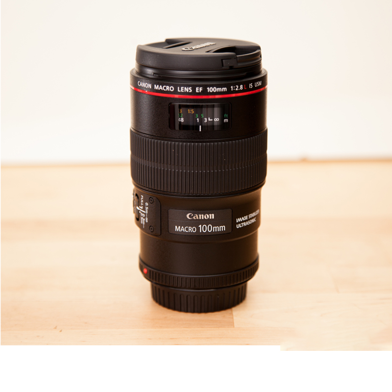 99新 Canon/佳能 佳能 100 F2.8 IS USM全画幅红圈百微 镜头人像