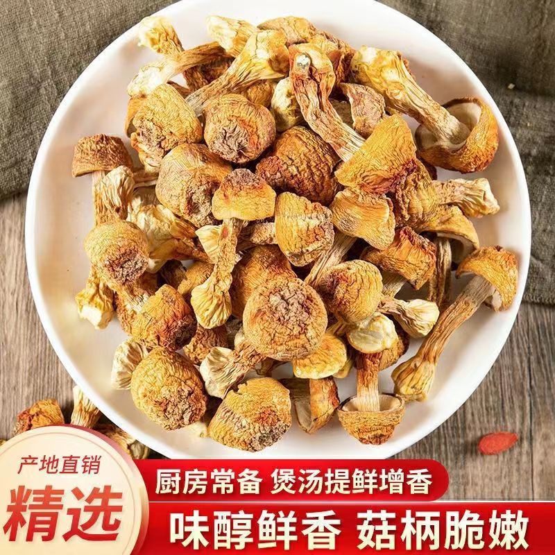 长寿峪姬松茸干货 食用煲汤无硫松茸菌松茸干货云南特产巴西菇