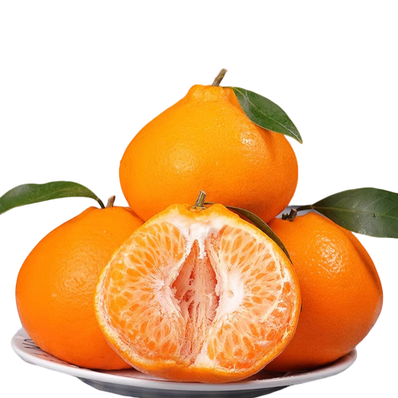 四川正宗春见耙耙柑现摘现发当季水果