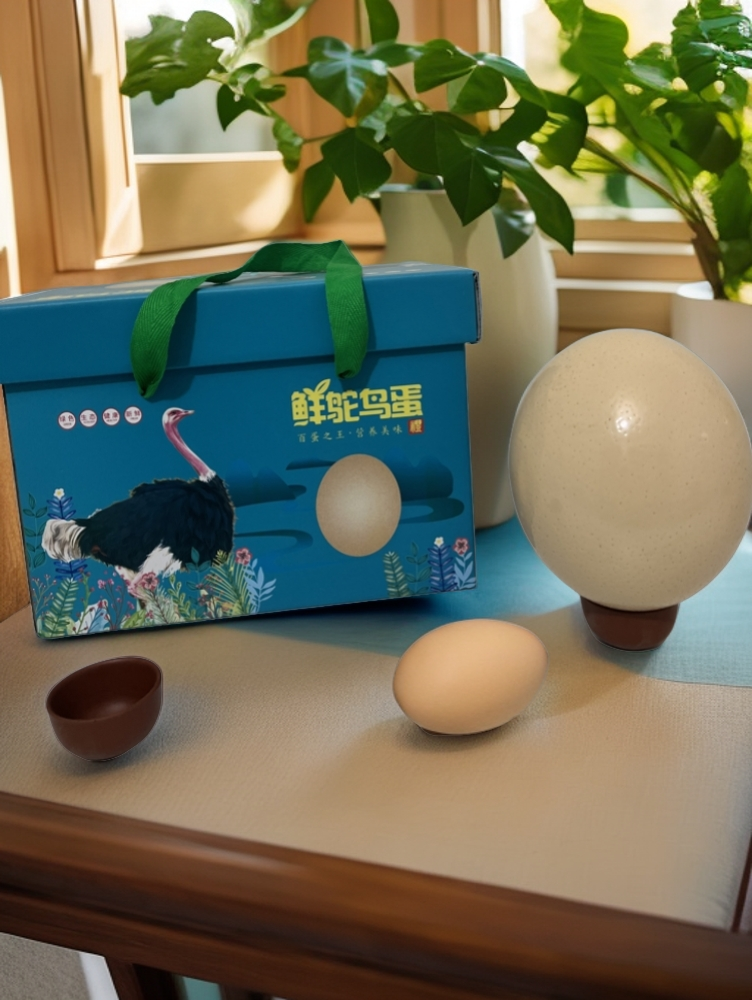 百蛋之王、河南鹤壁自养，鸵鸟蛋。鹤壁范家坟村农家养殖