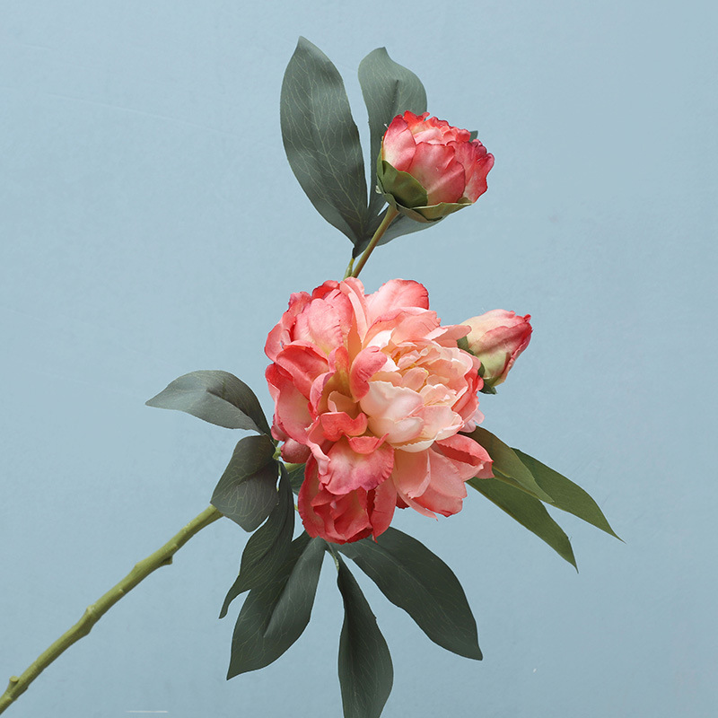 【凤凰牡丹】油画色彩仿真花