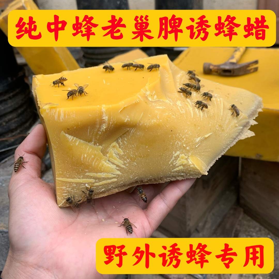 诱蜂蜂蜡老巢天然招蜂专用老蜂脾诱蜂蜡野蜂养蜜蜂蜡捕收蜂诱蜂蜡