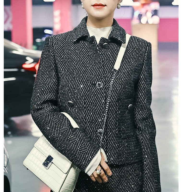 燕子（菲诗菲曼）11号【011】女士轻奢气质百搭经典女装