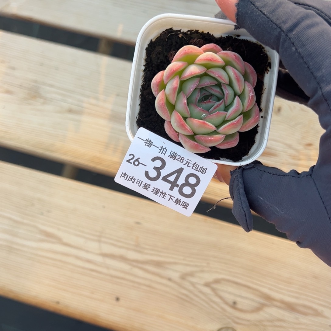 【闪购商品】草莓冰