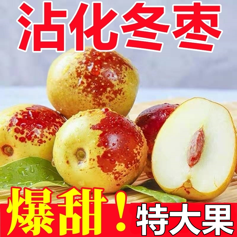 【沾化冬枣】山东特产现摘现发新鲜脆甜特大果冬枣礼品礼盒装3斤5斤
