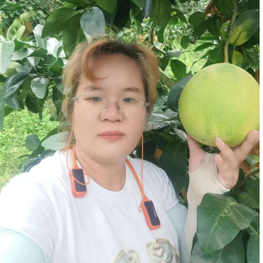 广西容县蜜柚红心柚子白肉蜜柚特产鲜果箱装12斤17斤广东广西包邮