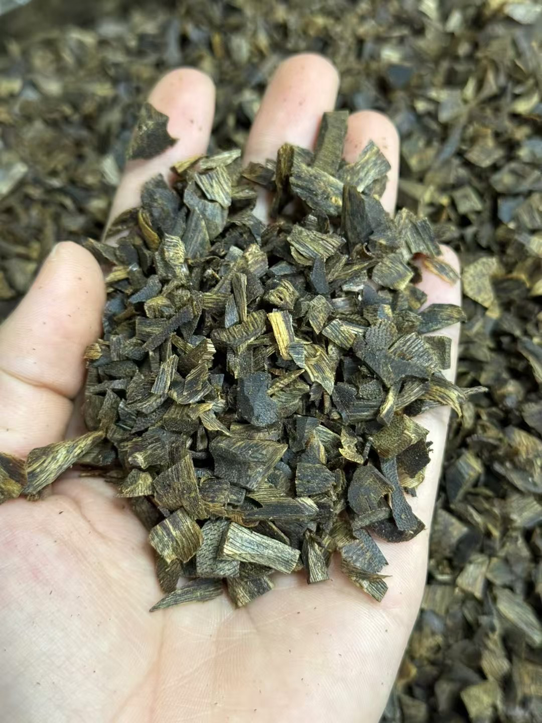 沉香奇楠沉香沉水碎料20克，多样性发一