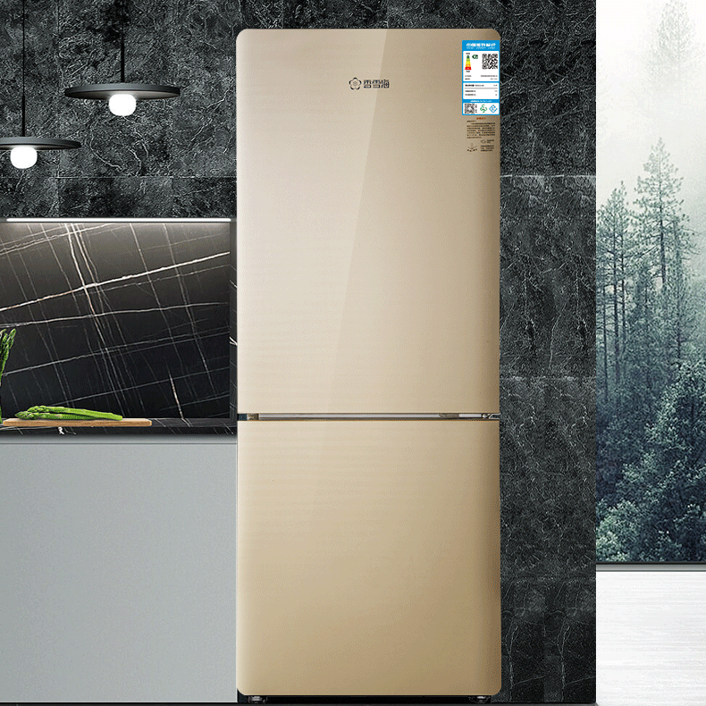 香雪海145升双温家用商用小型省电一级能耗双开门两门立式电冰箱