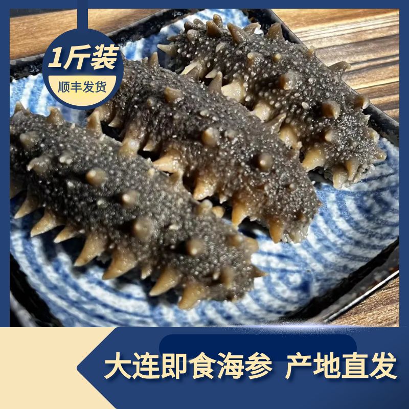 大连鑫旺泷即食海参  1斤装（独立真空包装）