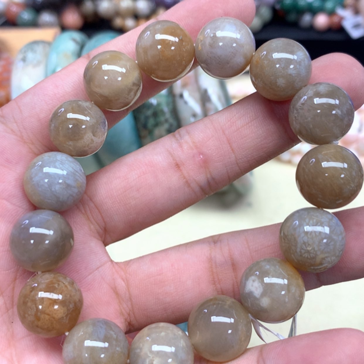 【闪购商品】硅化珊瑚（珊瑚玉）手链未镶嵌103