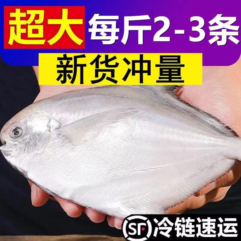 海捕野生银鲳鱼新鲜白鲳鱼扁鱼平鱼海鱼鲜活冷冻水产海鲜批发