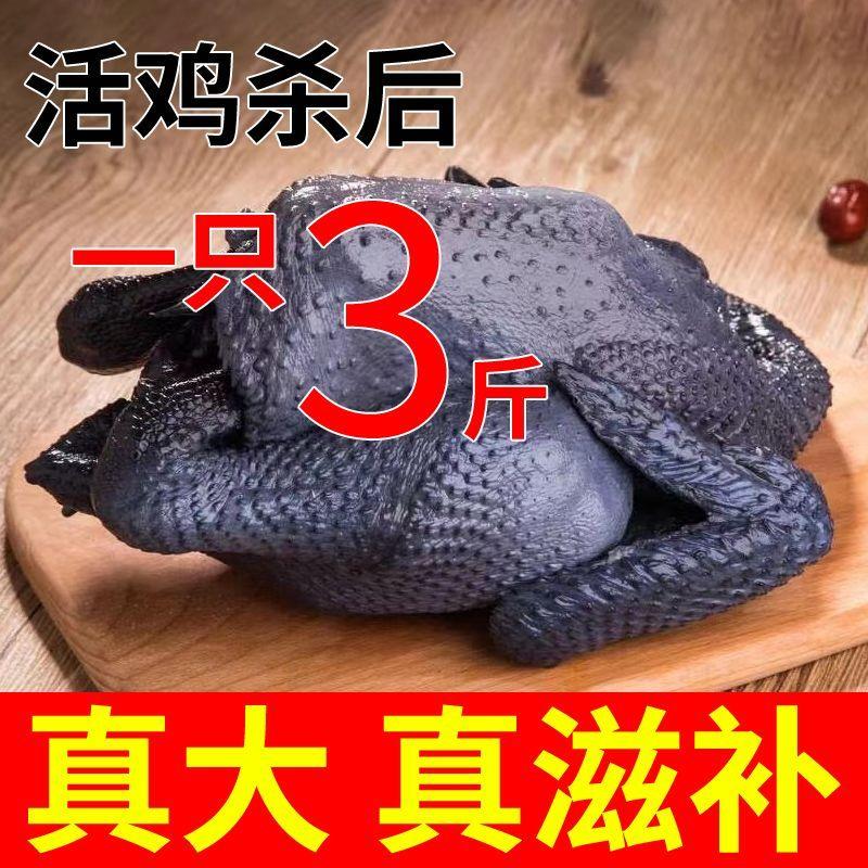乌鸡新鲜现杀东北土鸡农家散养乌鸡老母鸡整只鸡月子鸡溜达鸡白毛