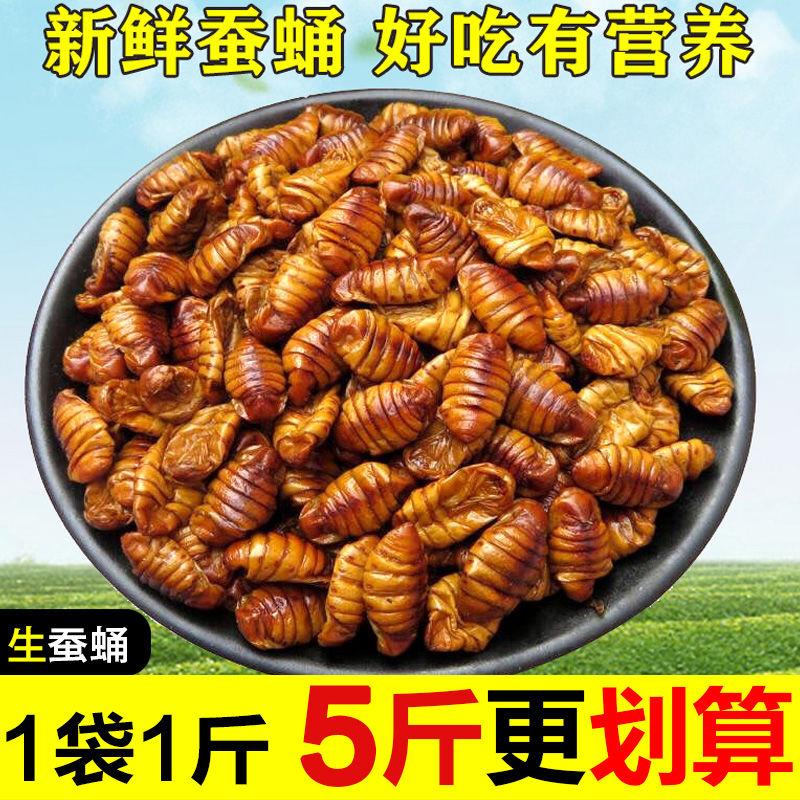 5斤更划算】山东特产新鲜生蚕蛹农家桑蚕蛹蝉蛹高蛋白下酒菜51g