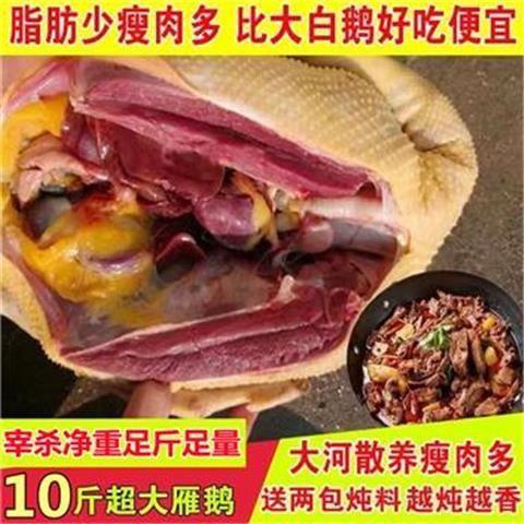 【整只大雁鹅】新鲜10斤大鹅现杀大雁整只鹅鹅肉农家散养坏单包赔