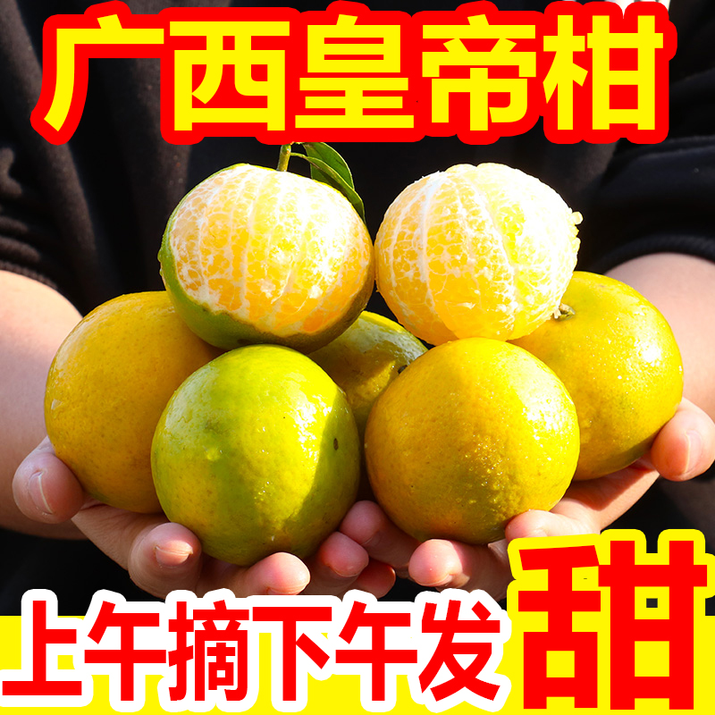 广西皇帝柑1-10斤新鲜水果当季整箱包邮贡柑黄帝柑橘子砂糖桔子