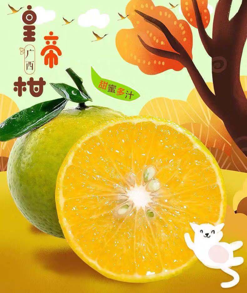 多汁现摘广西武鸣皇帝柑当季新鲜水果桔子整箱包邮沙糖桔沃柑金桔