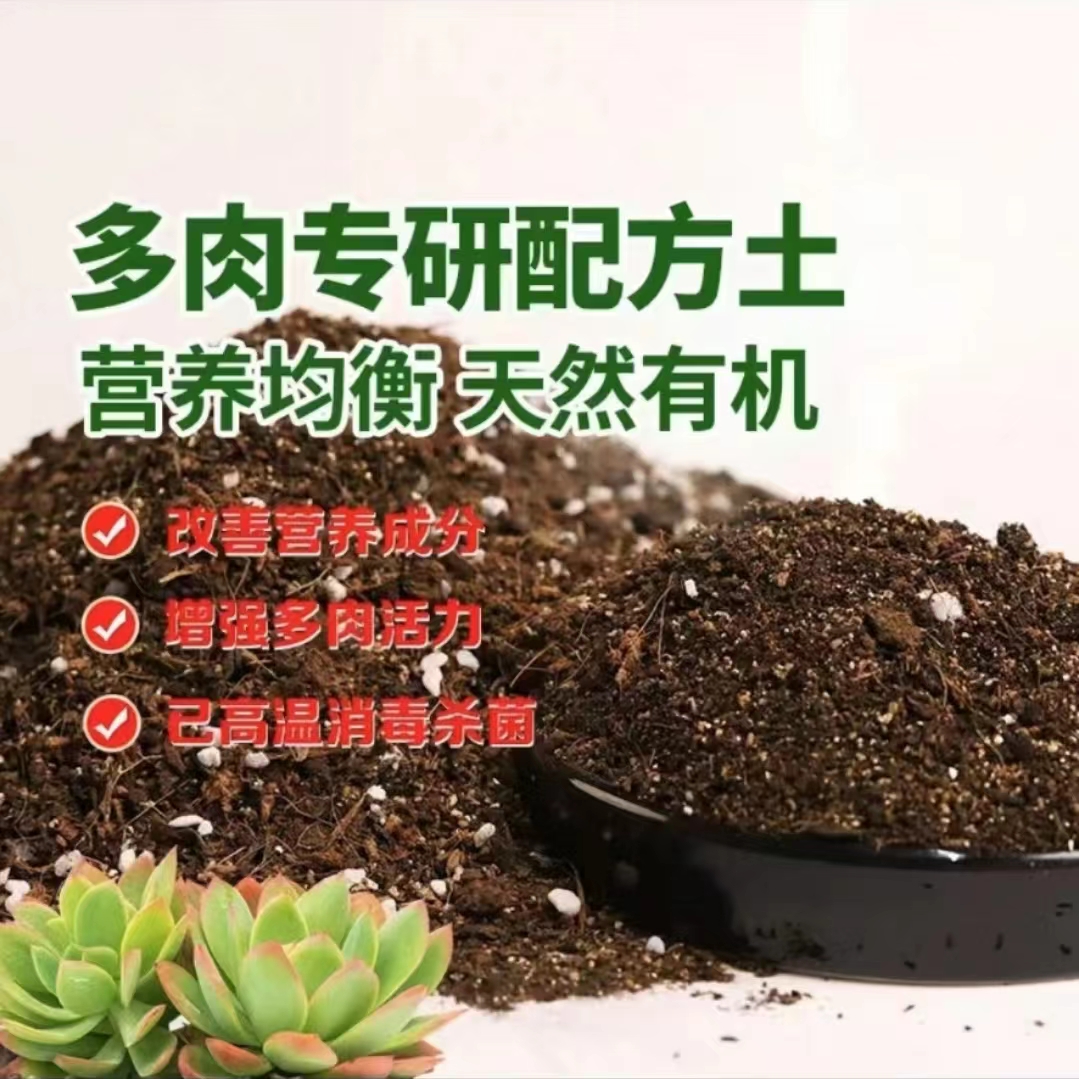 【多肉营养】透气上色好 5斤装 下单就包邮 燕子多肉