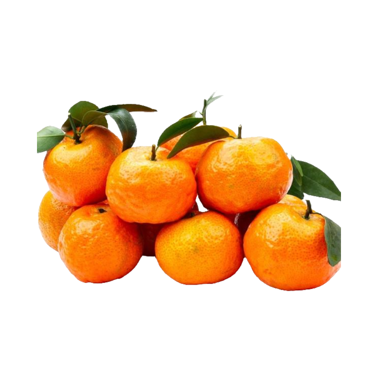 砂糖橘12元4斤四川省