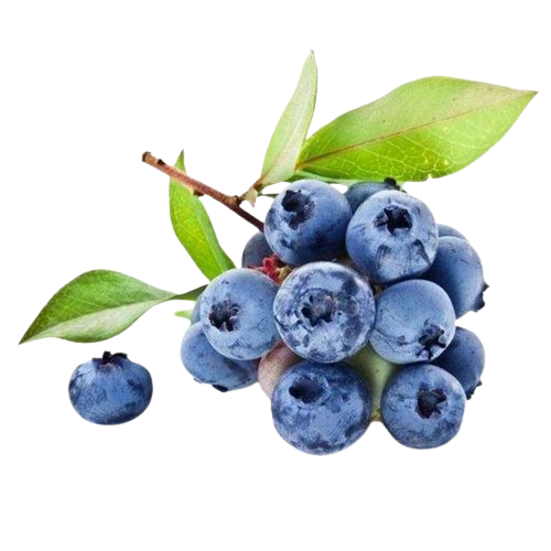 蓝莓/1盒125g/15mm+云南省