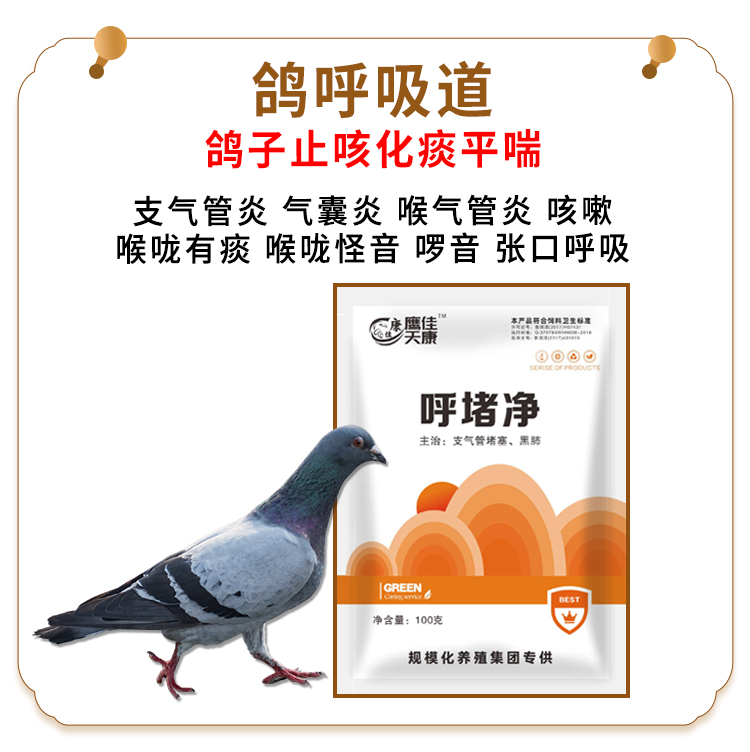 呼堵净 鸽子呼吸 鸽温 冬季添加 沙门氏 杆菌