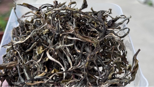 倚邦何轩生茶通用