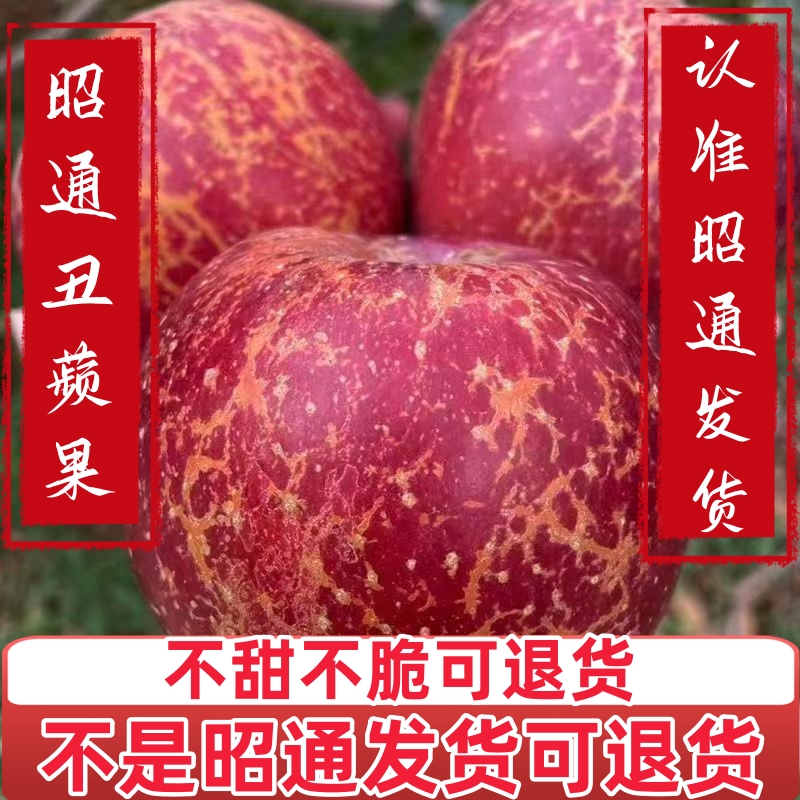 昭通丑苹果产地直发冰糖心野生苹果红富士糖心丑苹果原生态新鲜