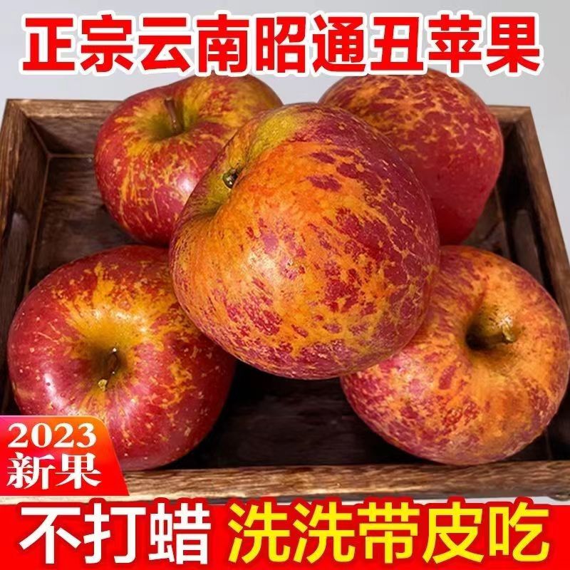 昭通冰糖心丑苹果新鲜水果当季现摘甜脆富士包邮高原丑苹果原生态