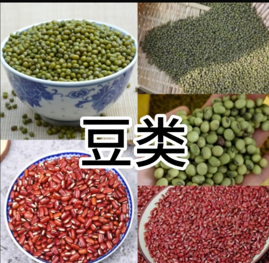 湘西豆类】4号湖南湘西赶集现购农产品自产自销干净手工挑选