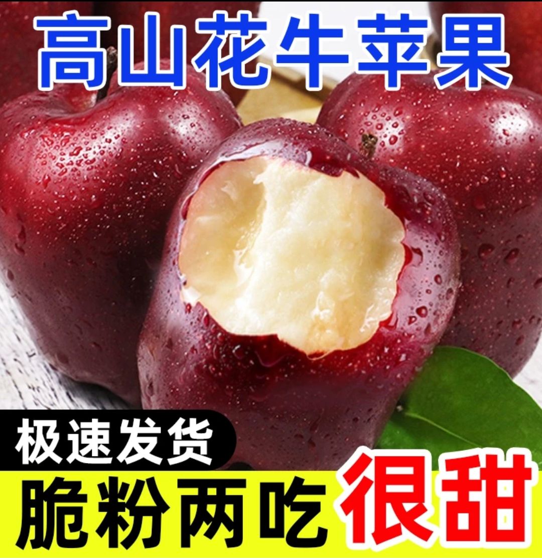 【粉脆两吃】甘肃天水花牛苹果3-5斤红蛇果新鲜水果果园现摘现发
