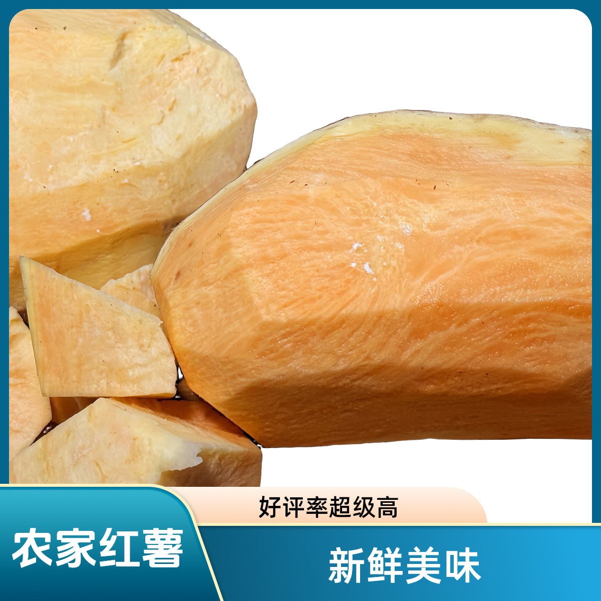 益阳沅江农家红薯