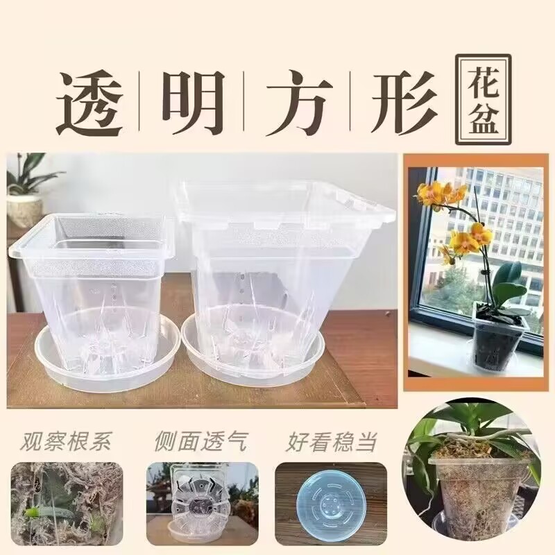 网红绿植小方盆方形花盆透气塑料花盆郁金香专用盆海芋好看控根盆