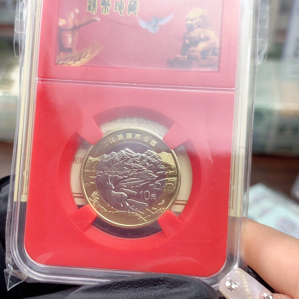 【闪购商品】12345