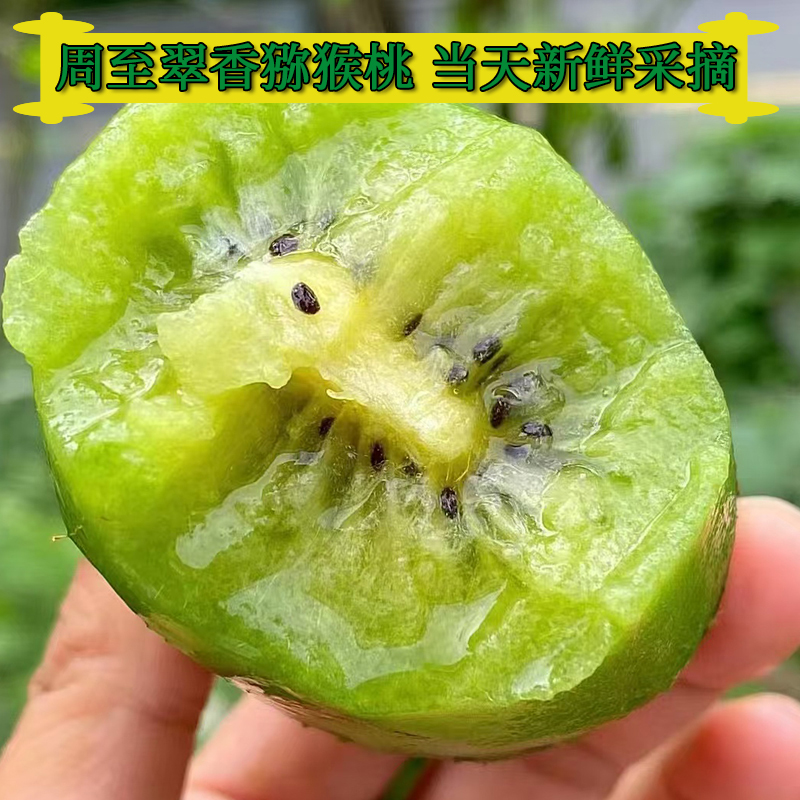 陕西周至正宗翠香猕猴桃60-100*20枚装新鲜采摘孕妇应季水果绿心