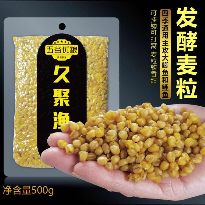 【小扬哥甄选】钓鱼窝料发酵麦粒谷麦老坛玉米五谷杂粮打窝料野钓