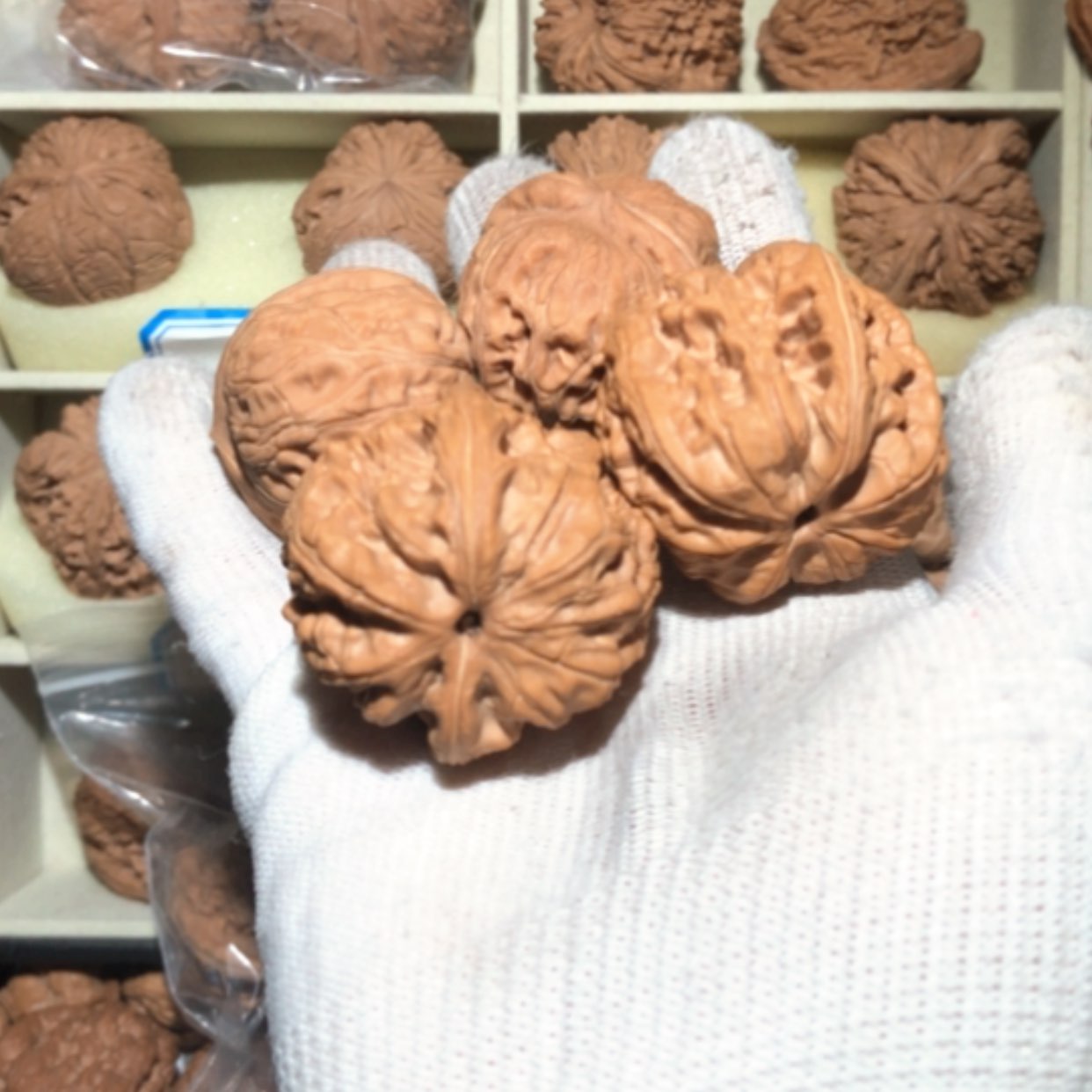 【闪购商品】木核雕F*F