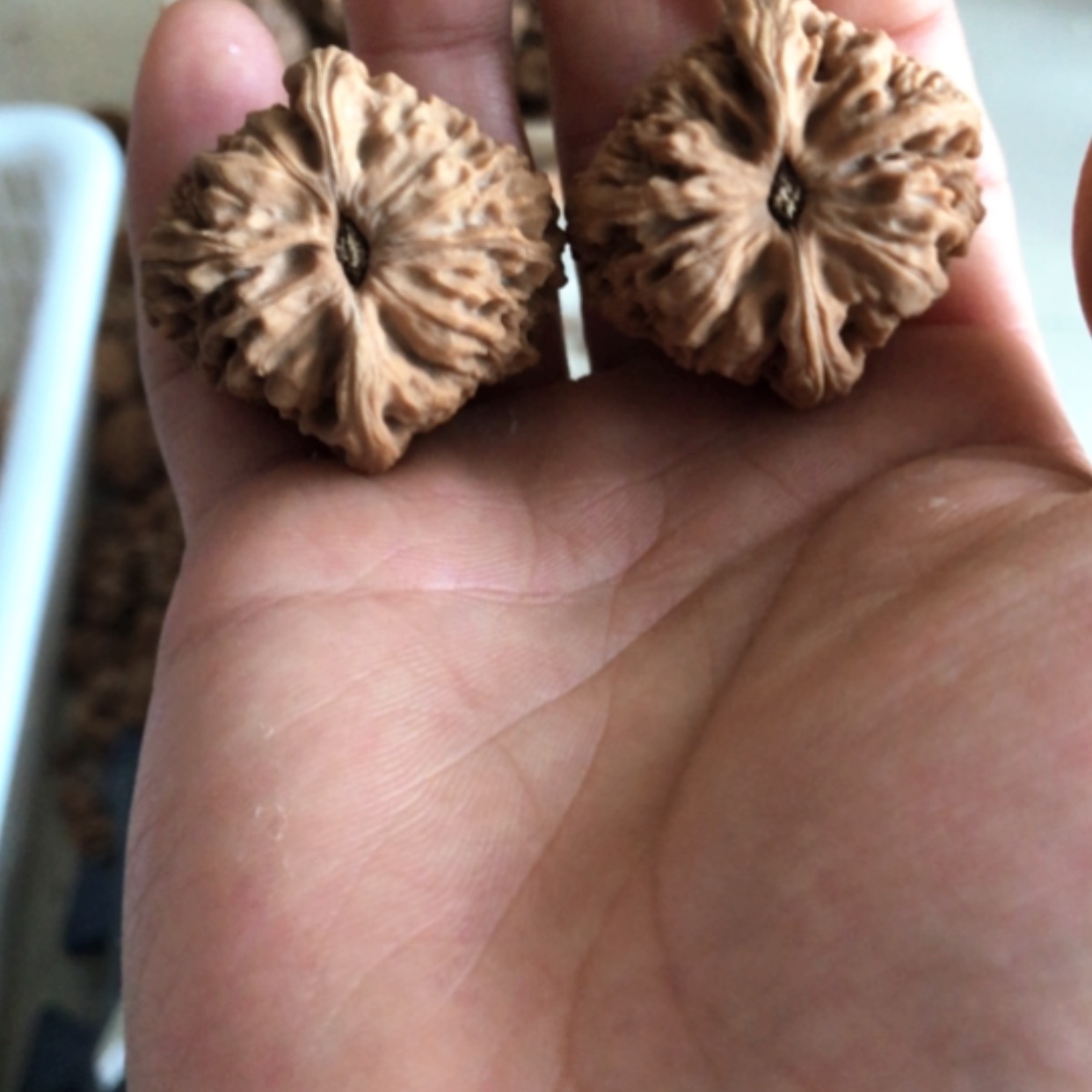 【闪购商品】木核雕卡**?