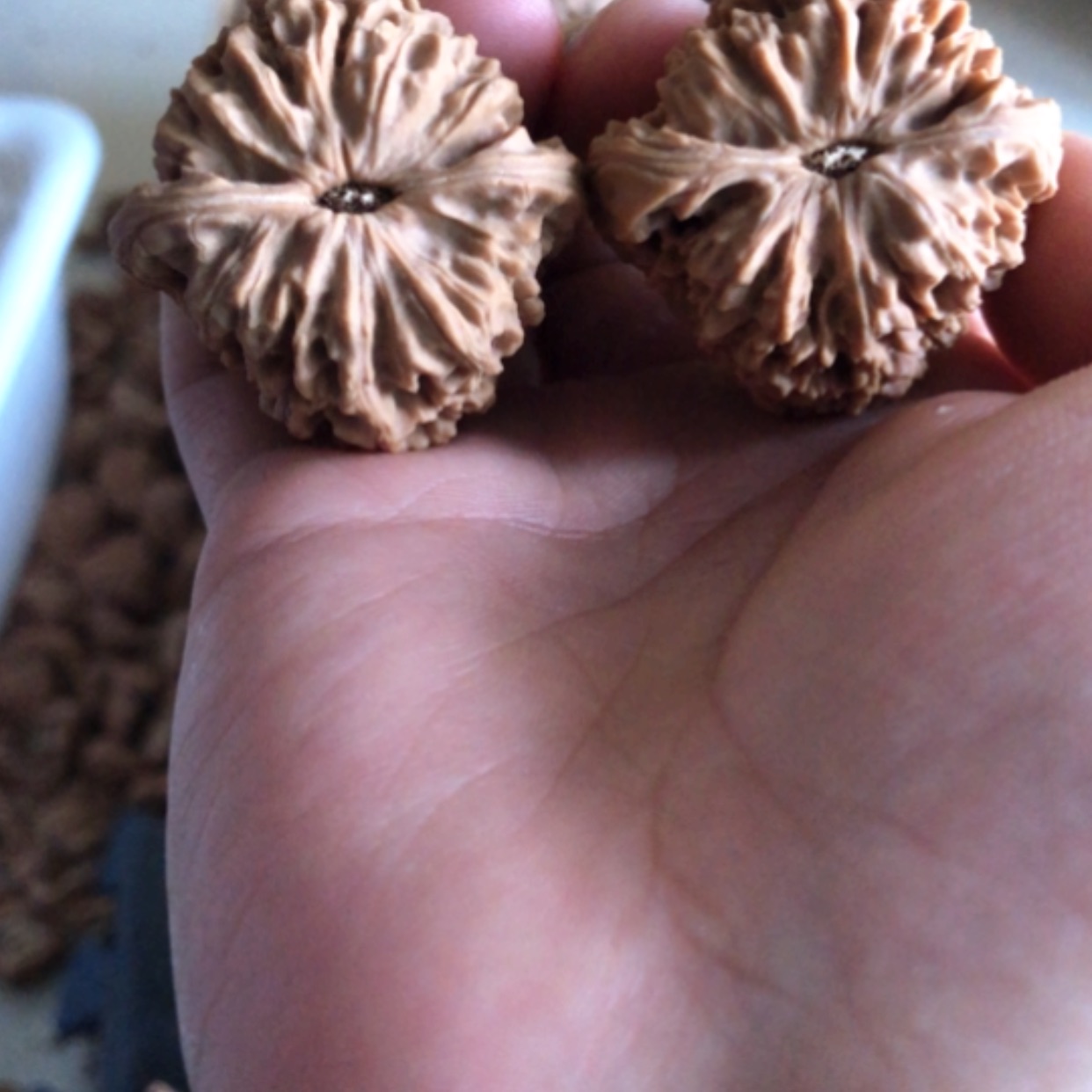 【闪购商品】木核雕A****丶