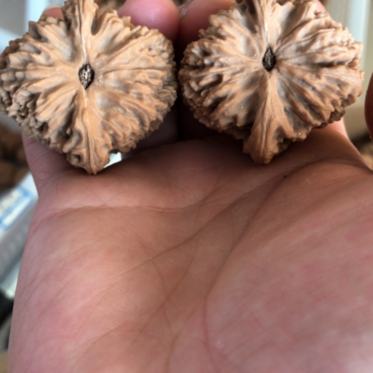 【闪购商品】木核雕&*K