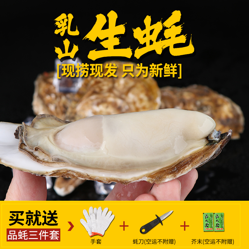 【偏远地区顺丰包邮】买5斤送5斤牡蛎正宗乳山生蚝鲜活海鲜带箱10斤