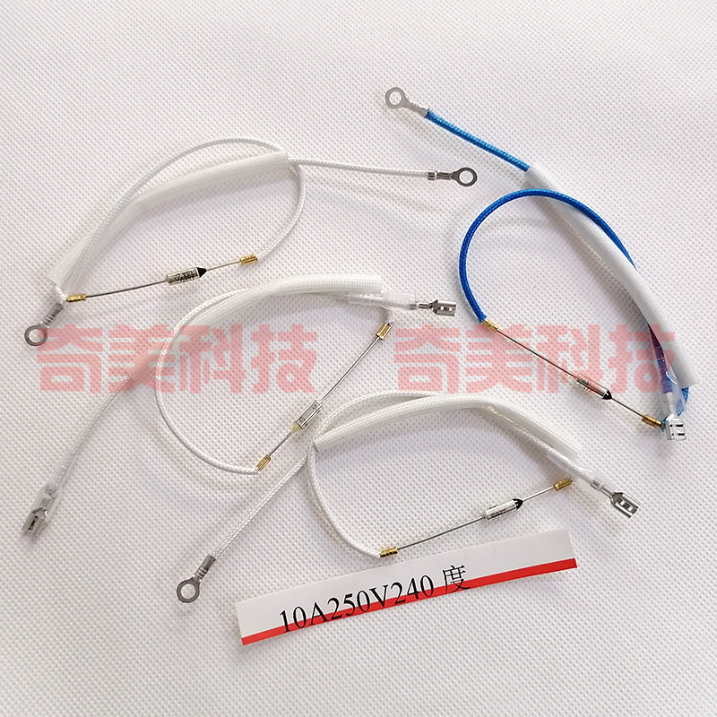 .高温蒸汽挂烫机电磁炉熨斗热水瓶带电线温控管保险丝250V10A240