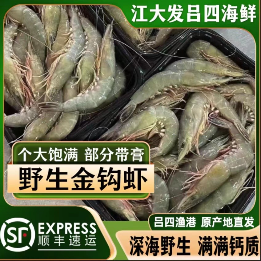 启东吕四港海捕解冻快递青壳滑皮虾金钩虾剑虾新鲜冷冻海虾食用