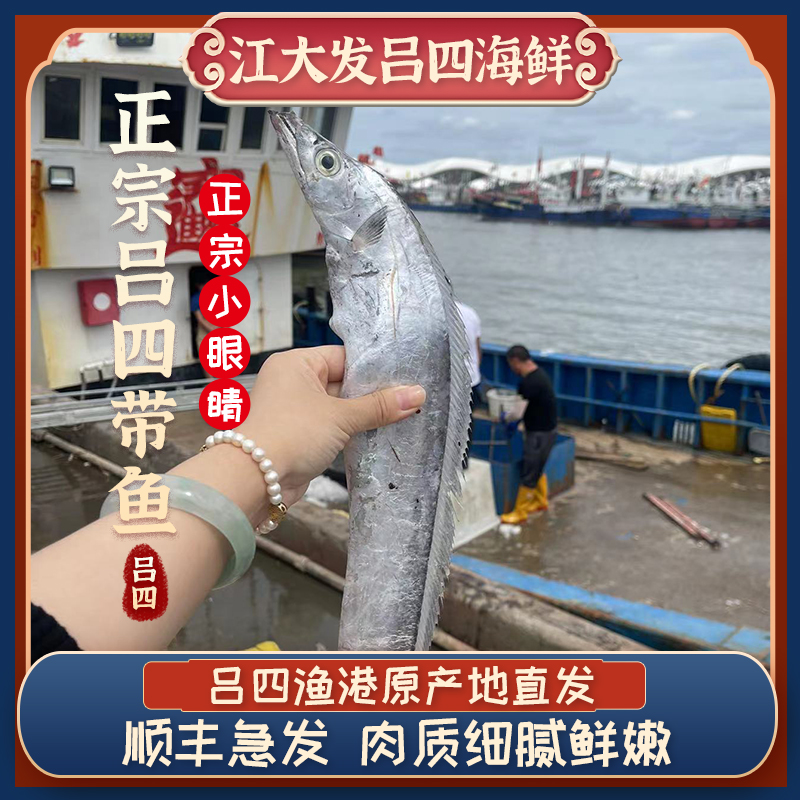 吕四小眼睛油带鱼  4-5两左右规格  深海油带鱼