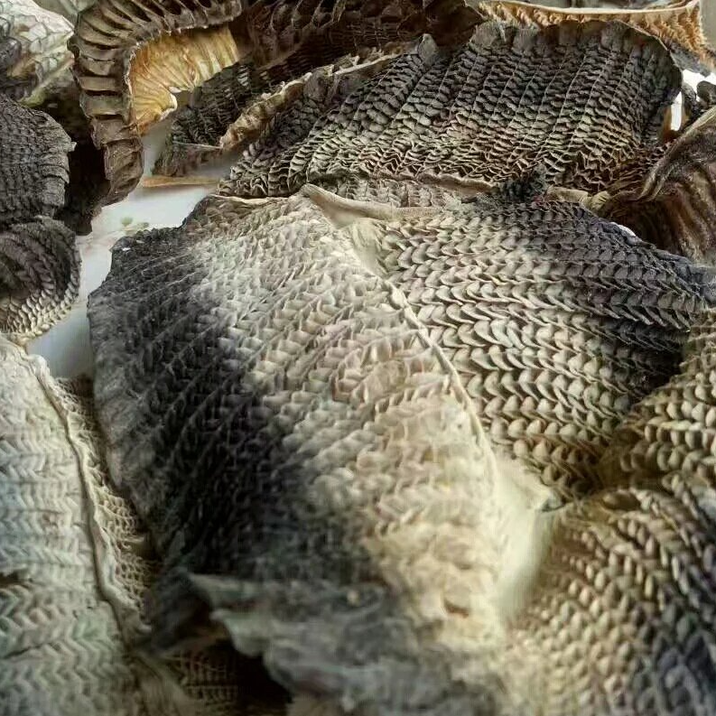 膨鱼鳃 干货 营养滋补