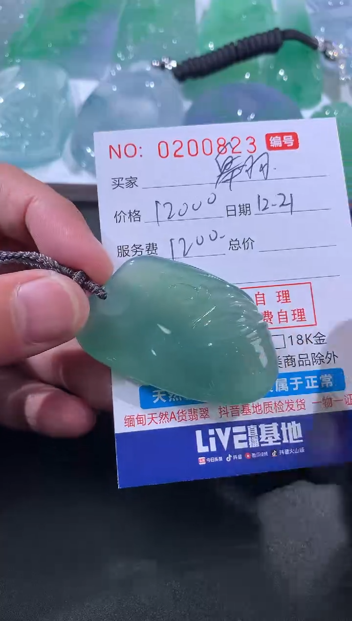 【闪购商品】翡翠颈饰未镶嵌翱